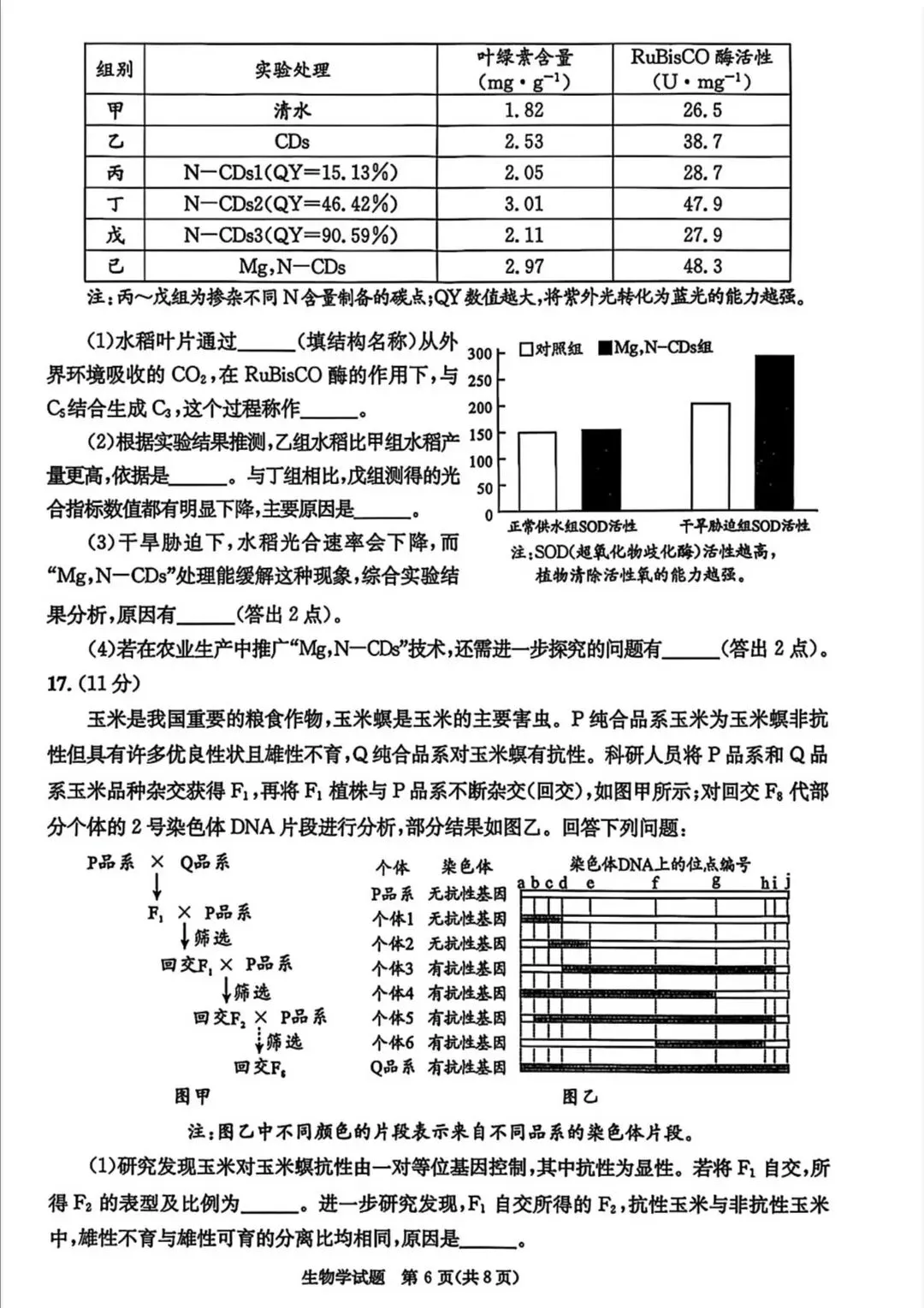 成都二诊|成都市2026届高三第二次模拟测试生物试题及答案 第6张