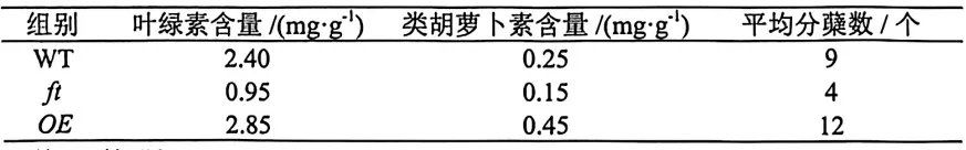 2026广州一模(试卷+答案) 第9张