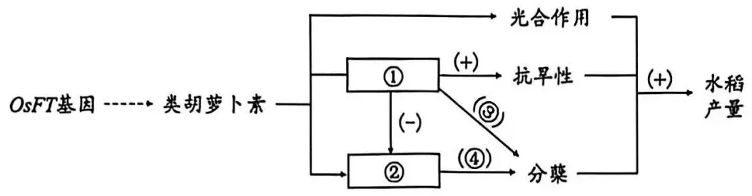 2026广州一模(试卷+答案) 第11张