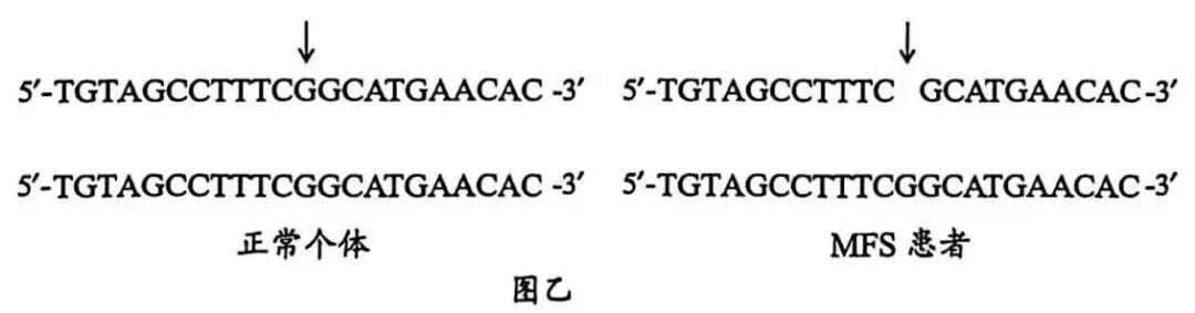 2026广州一模(试卷+答案) 第15张