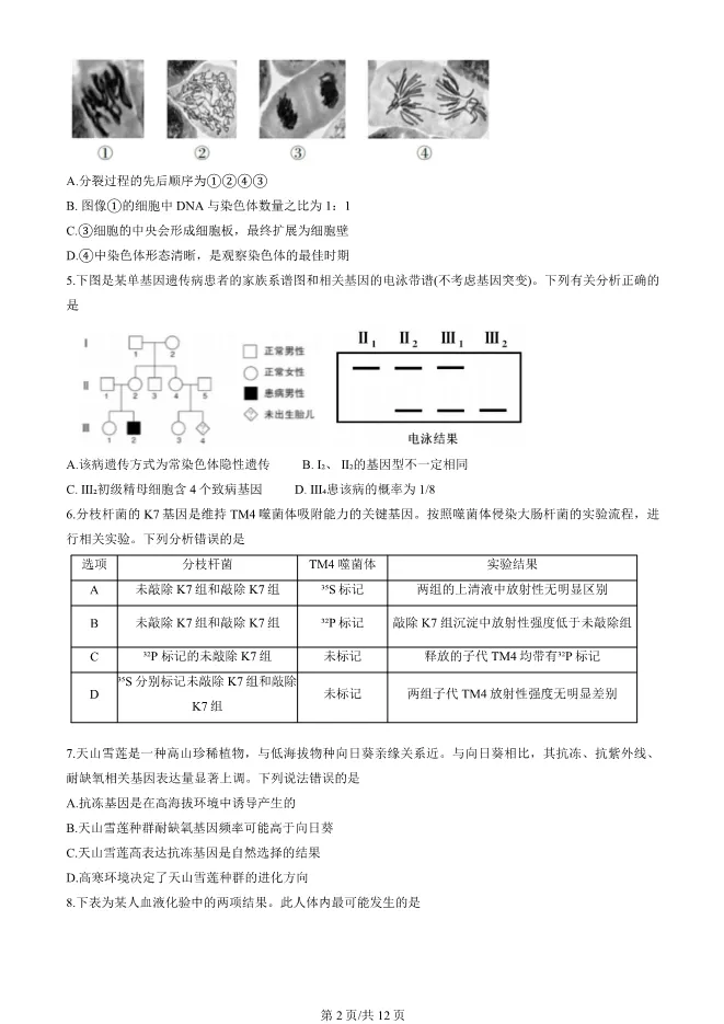 2025北京房山高三一模生物试卷(有答案) 第2张