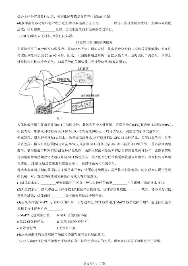 2025北京房山高三一模生物试卷(有答案) 第6张