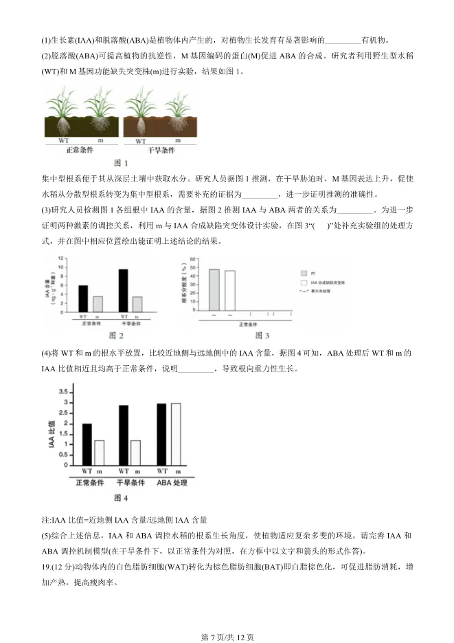 2025北京房山高三一模生物试卷(有答案) 第7张