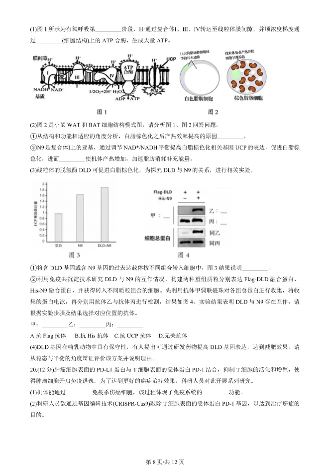 2025北京房山高三一模生物试卷(有答案) 第8张