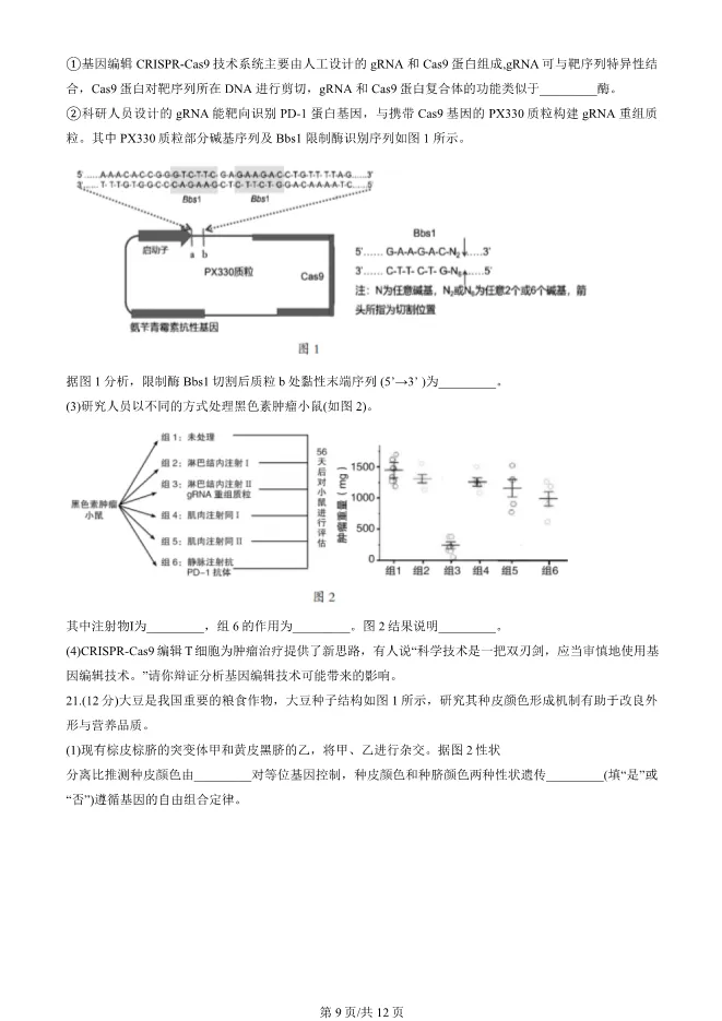 2025北京房山高三一模生物试卷(有答案) 第9张