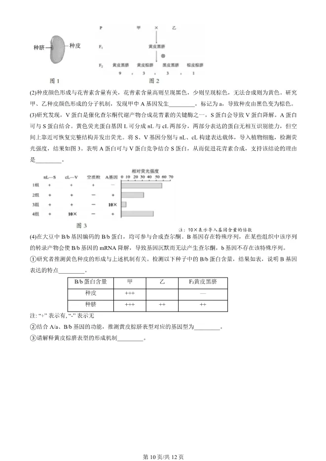 2025北京房山高三一模生物试卷(有答案) 第10张