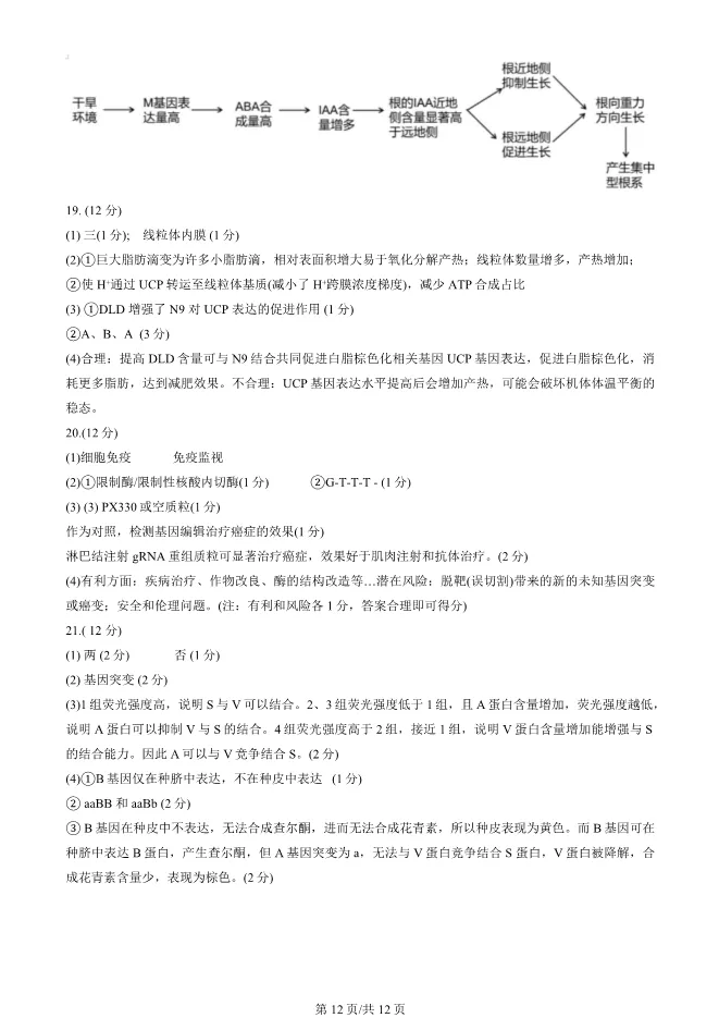 2025北京房山高三一模生物试卷(有答案) 第12张