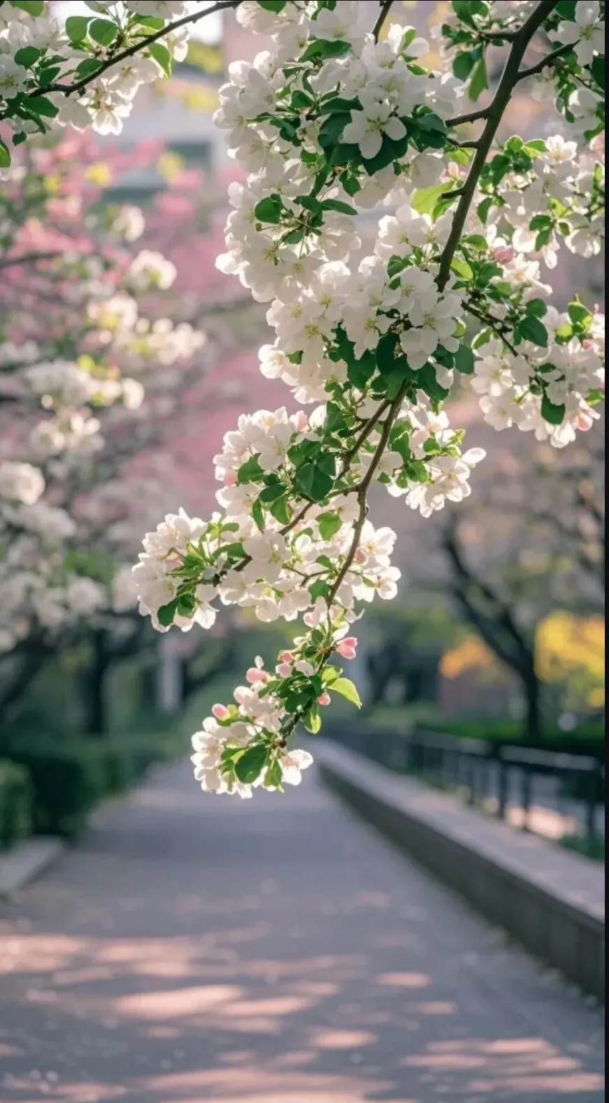 第一次模拟考越来越近,初三孩子越学越慌:真正能缓解焦虑的,从来不是“别紧张” 第3张
