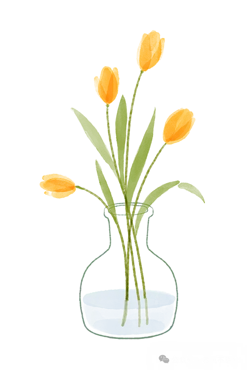 2026中考体育提分必看!早规划、早训练、早提分! 第3张