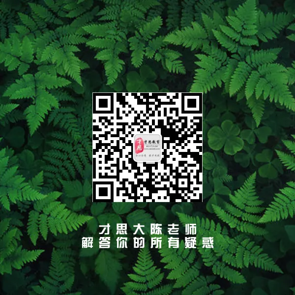 2025中国艺术研究院考博专业一真题解析:论述艺术家的个体性与社会性第二个思路 第2张