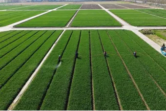 26 中考时政热点及模拟试题(13) 命运共同体/中关村论坛/以旧换新/农业生产/清洁节能 第9张