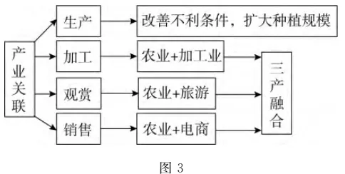 图解高考真题:2024安徽18题佛手 第4张
