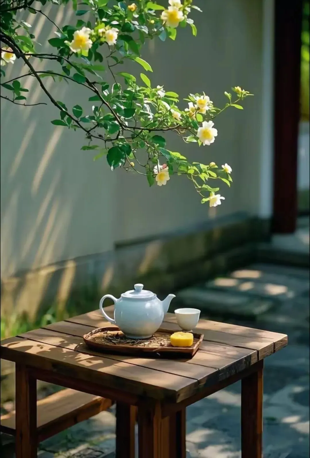 【模拟真题】2026年中考模拟联考(一)英语试卷听力答案 第21张