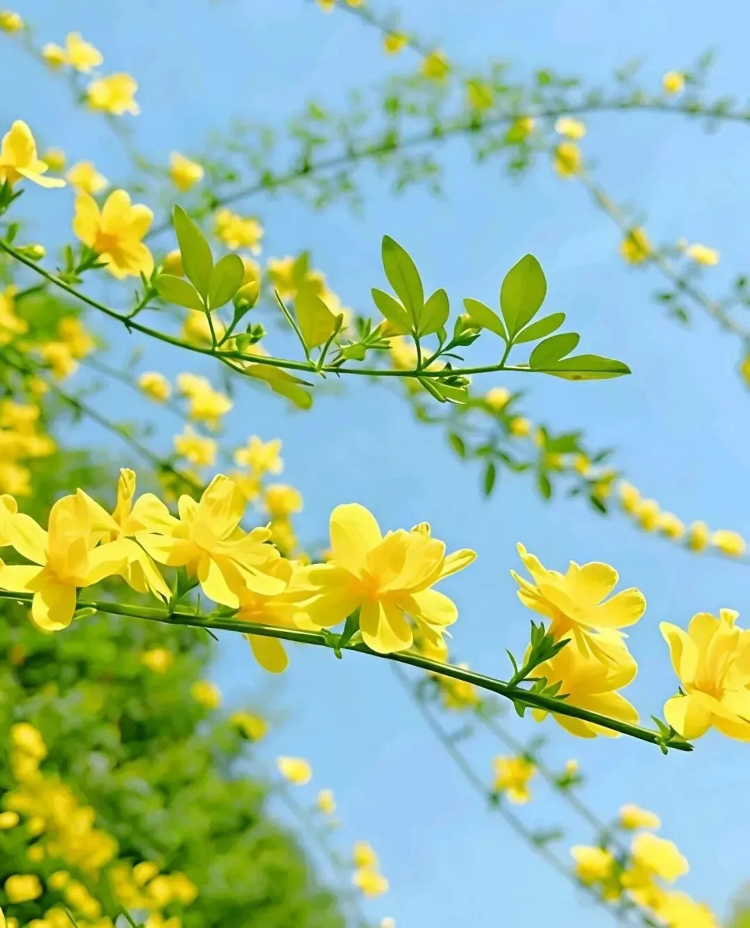 五大名校高二第一次月考试卷汇编 导数-教师(含答案) 第1张