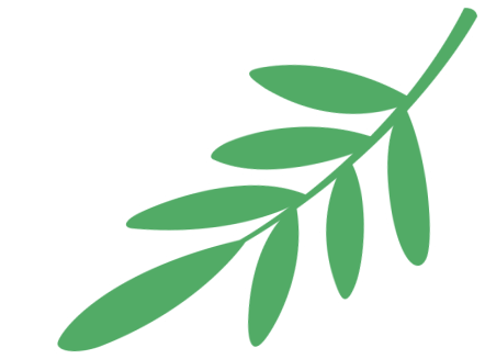 中考冲刺必看|浙江省温州中学全解析~ 第7张