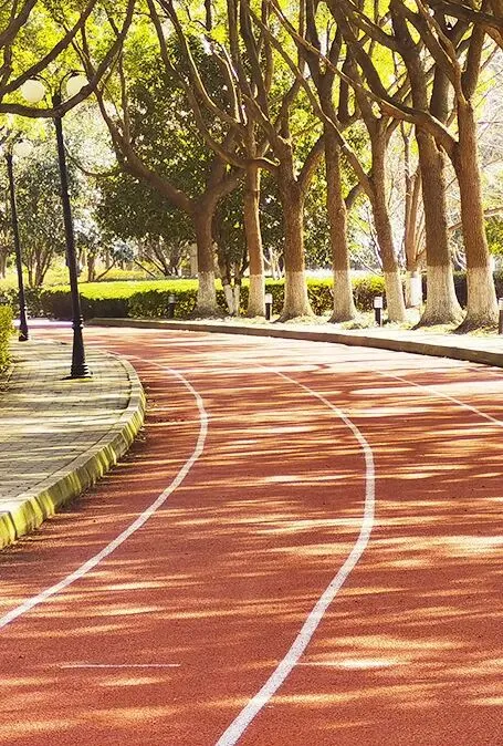 刘珂珂|中考试卷分析 第13张