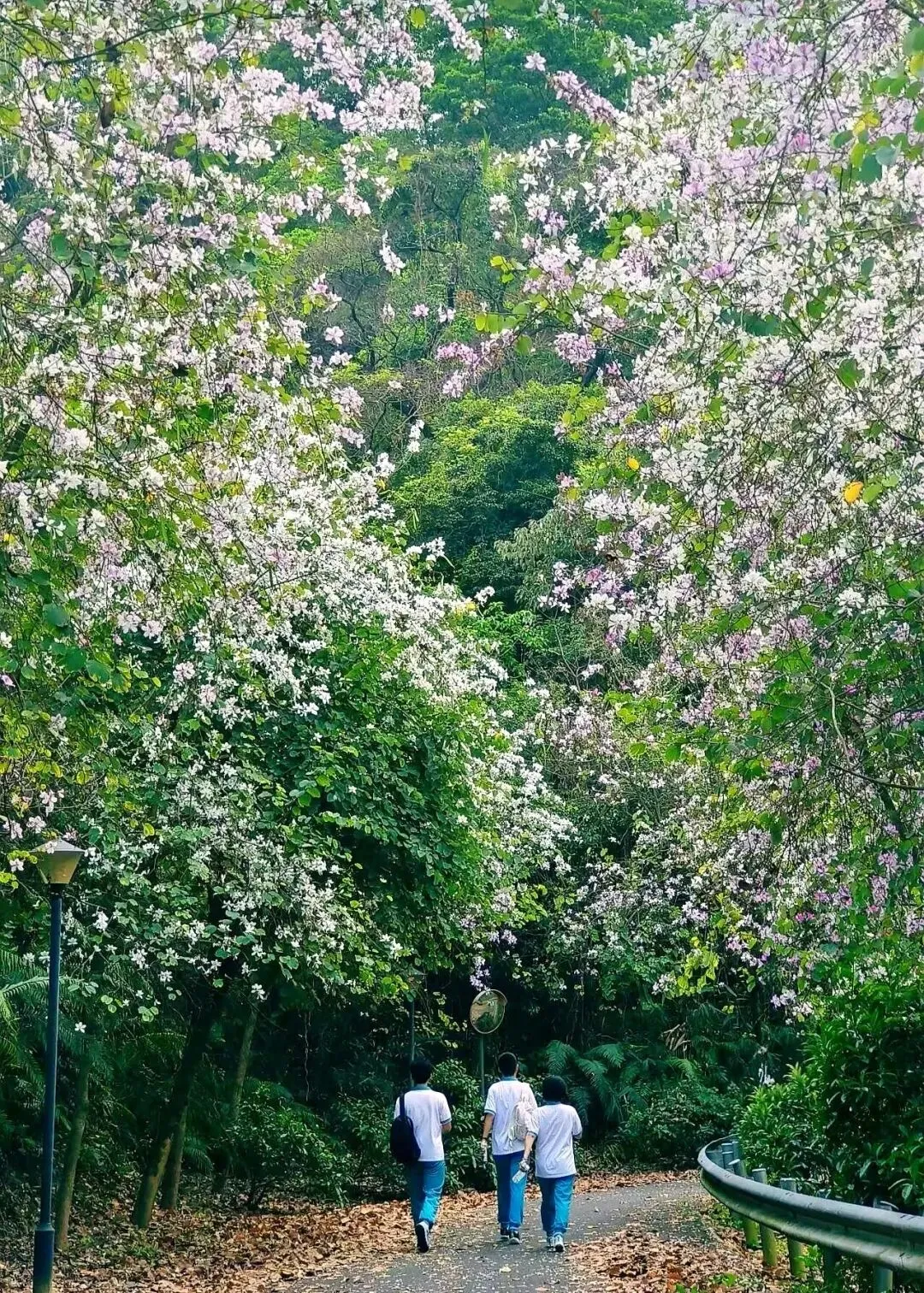 骅骝奋跃,再谱新章 | 2026届初三中考百日誓师活动 第33张