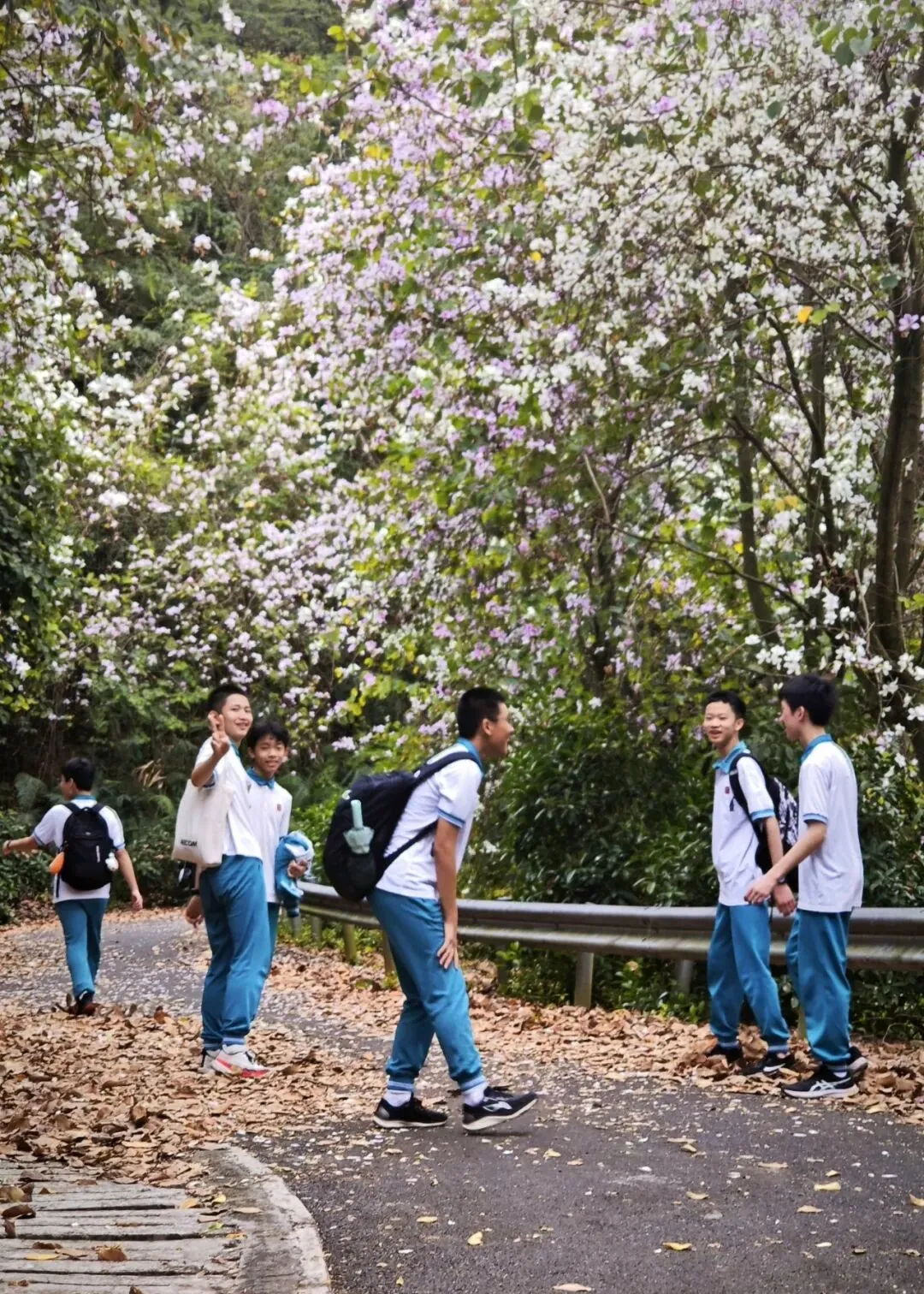 骅骝奋跃,再谱新章 | 2026届初三中考百日誓师活动 第34张