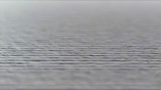 最新!2026佛山美术中考4月19日考试! 第1张