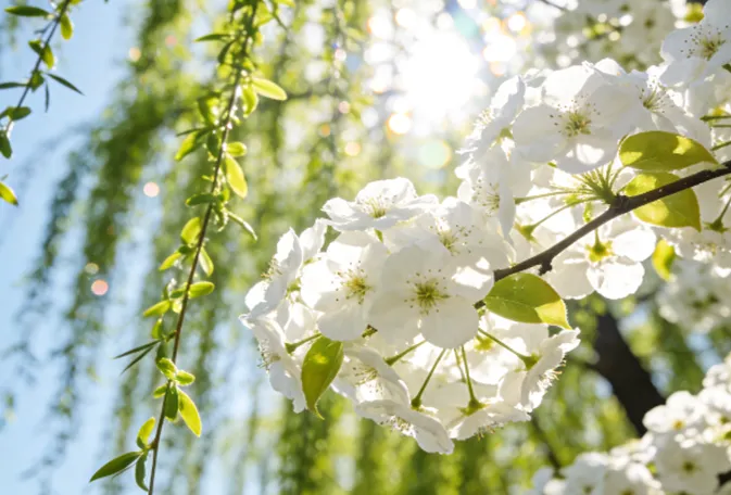 2026中考与生地倒计时程序(免费) 第3张