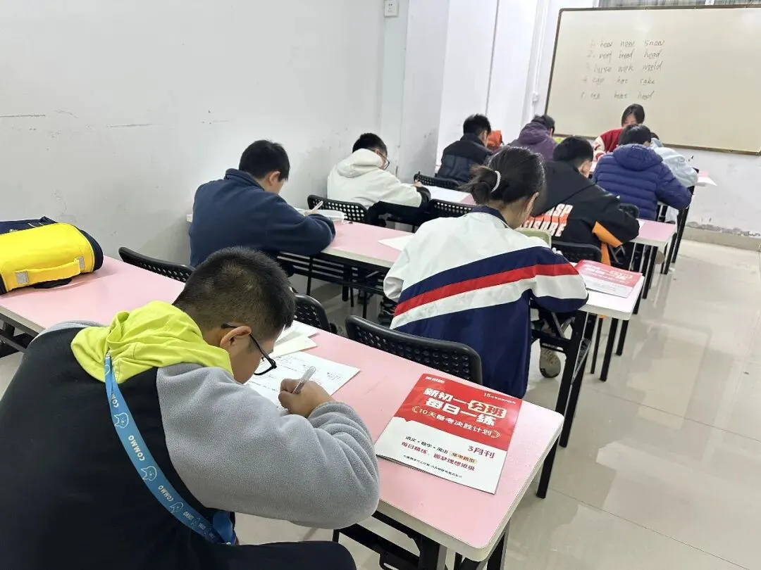 【成绩查询】3月小升初模拟考成绩出炉!精准定位,查缺补漏! 第13张