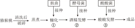 2025年高考真题分类汇编(部分)——专题六 生物技术与工程 第1张 2025年高考真题分类汇编(部分)——专题六 生物技术与工程 第1张