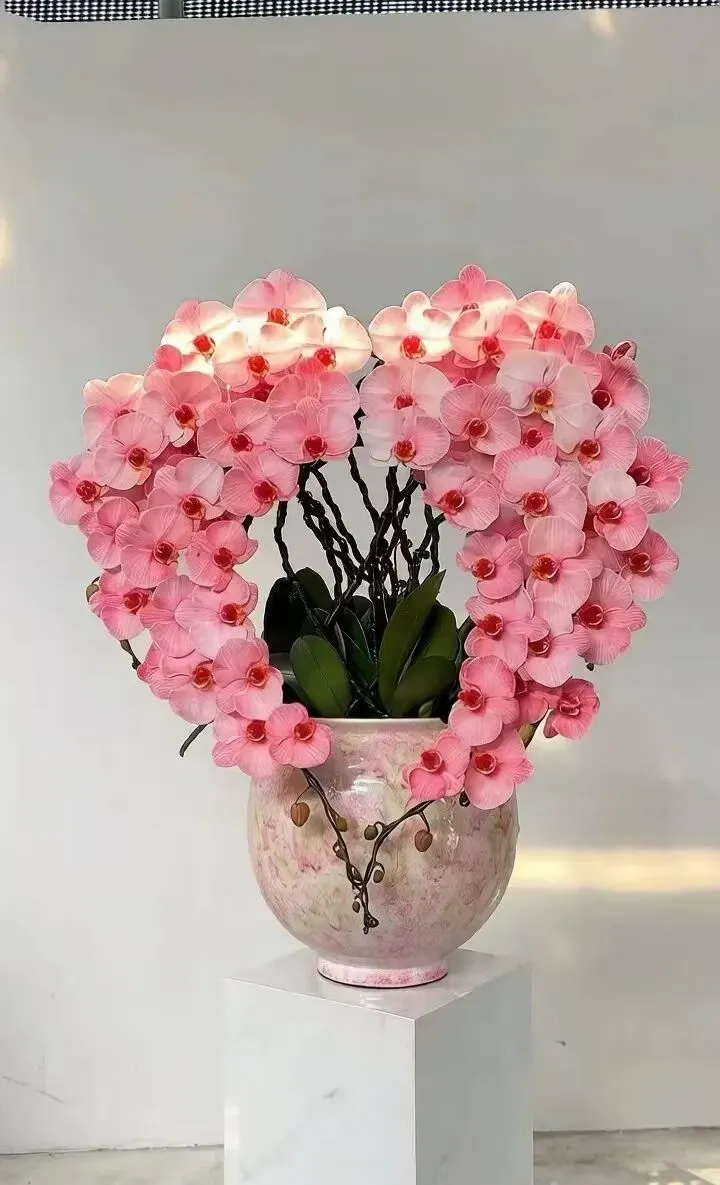 紧急通知!中考大变革:普高扩招成定局,但这3个“坑”没人敢提 第1张