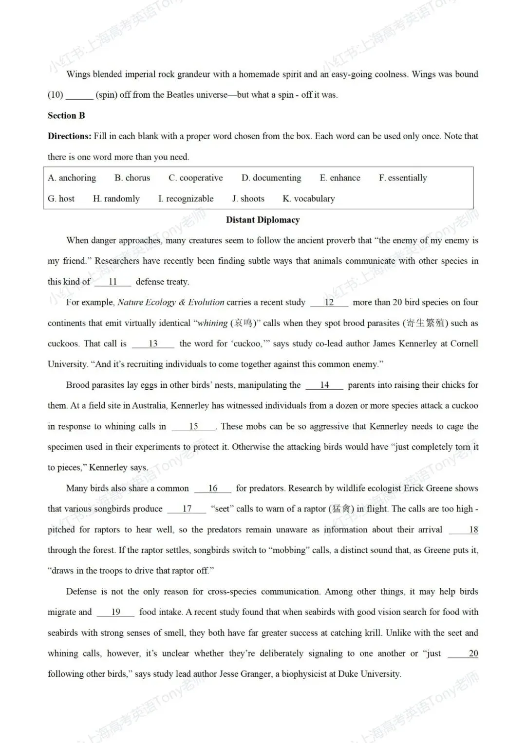 【试卷推送】上海市华师大二附中2025-2026学年第二学期高三年级3月考英语 第2张 【试卷推送】上海市华师大二附中2025-2026学年第二学期高三年级3月考英语 第2张