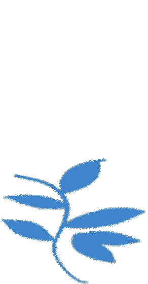 国内中考10个高频动词(下) 第5张 国内中考10个高频动词(下) 第5张