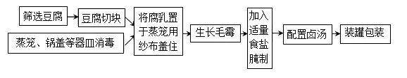 助力生物中考:2026初中生物中考模拟试题(二 附答案和解析) 第9张
