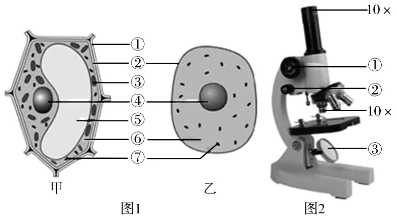 助力生物中考:2026初中生物中考模拟试题(二 附答案和解析) 第12张