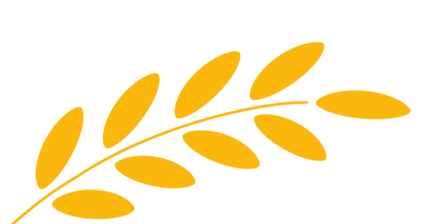 以赛促研助中考 深耕课堂行致远——德宏州民族实验中学2026年复习课教学竞赛圆满举行 第8张