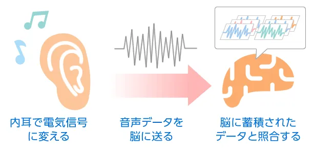 能力考听力开卷考!100场景把真题焊进耳朵里! 第4张 能力考听力开卷考!100场景把真题焊进耳朵里! 第4张