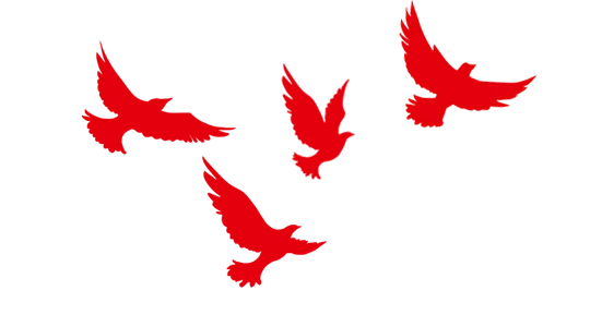 以赛促研助中考 深耕课堂行致远——德宏州民族实验中学2026年复习课教学竞赛圆满举行 第34张