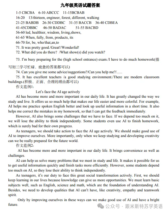 2026.3河南省实验中学中考模拟全科试卷含答案(可下载) 第40张 2026.3河南省实验中学中考模拟全科试卷含答案(可下载) 第40张