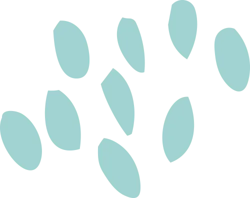 抢先看真题:这些年上外中高级口译都考了什么? 第26张