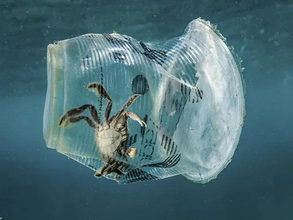 抢先看真题:这些年上外中高级口译都考了什么? 第34张