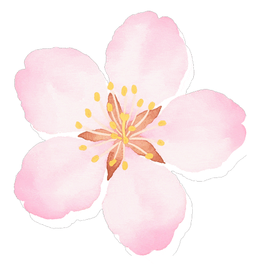 【市三中•春令营】丨初三专业生中考模拟测试•名师指点:株洲市三中“星火”杯专业生春令营报名公告 第6张