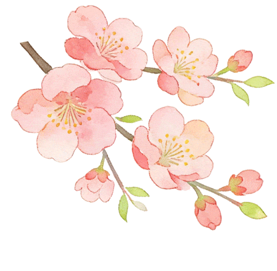 【市三中•春令营】丨初三专业生中考模拟测试•名师指点:株洲市三中“星火”杯专业生春令营报名公告 第26张