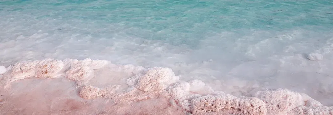 【国学时代文化社】云南中考语文真题(2023-2025)原卷及解析 第4张 【国学时代文化社】云南中考语文真题(2023-2025)原卷及解析 第4张