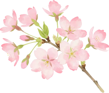 【市三中•春令营】丨初三专业生中考模拟测试•名师指点:株洲市三中“星火”杯专业生春令营报名公告 第60张