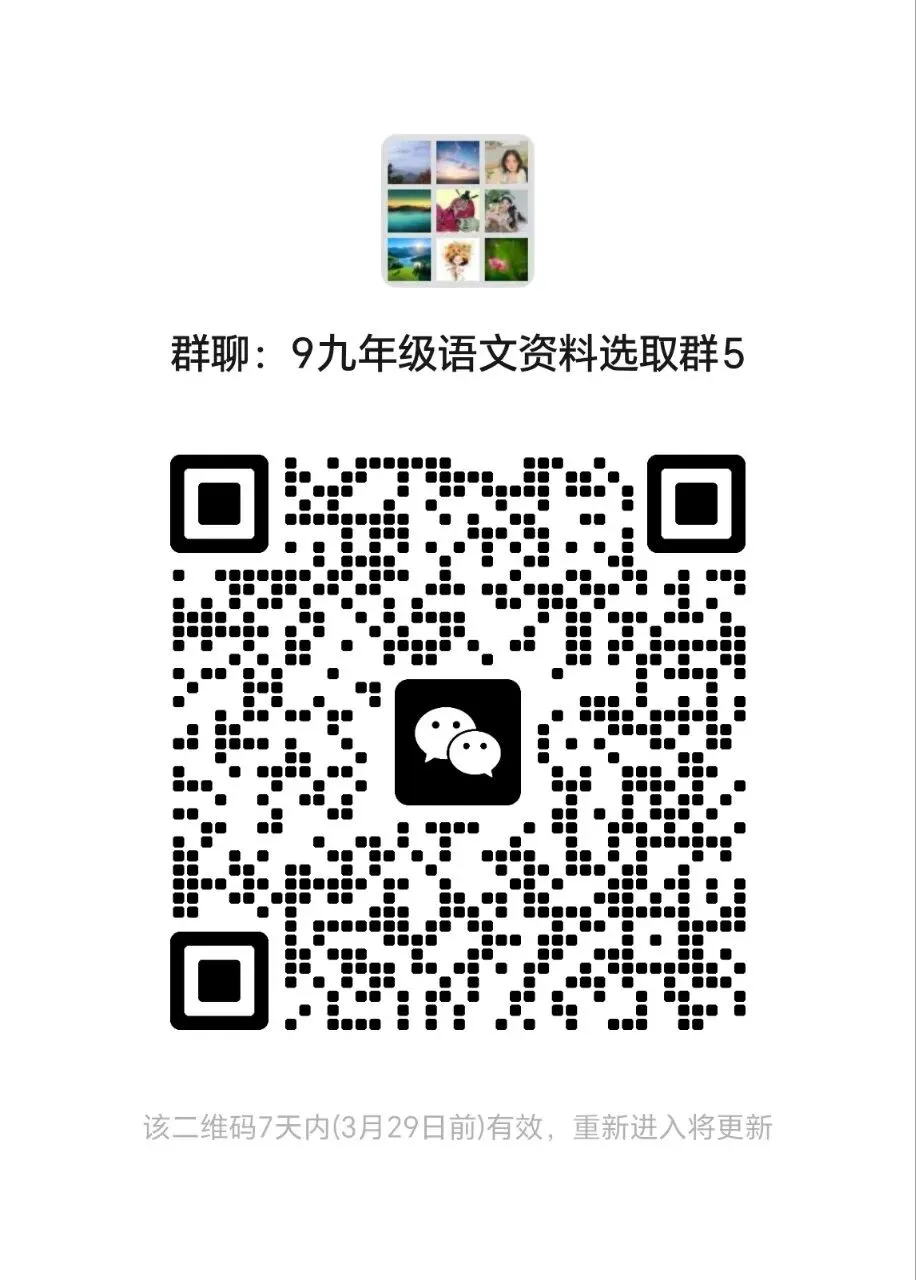 2026年中考语文模拟测试卷9 第8张