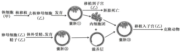 高考真题‖2025高考生物学真题分类汇编专题十六之02 动物细胞工程 第3张