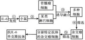 高考真题‖2025高考生物学真题分类汇编专题十六之02 动物细胞工程 第4张