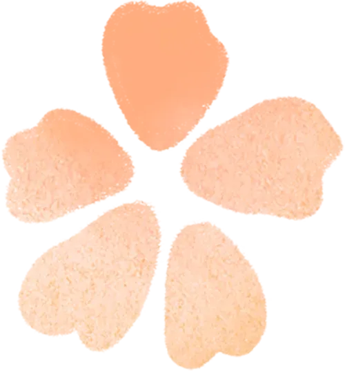 2026届高三南京盐城一模各科试卷及答案出炉 第5张