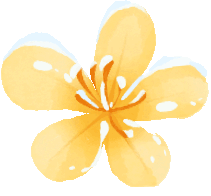 2025年国考《行测》真题及答案 (行政执法卷) 第4张