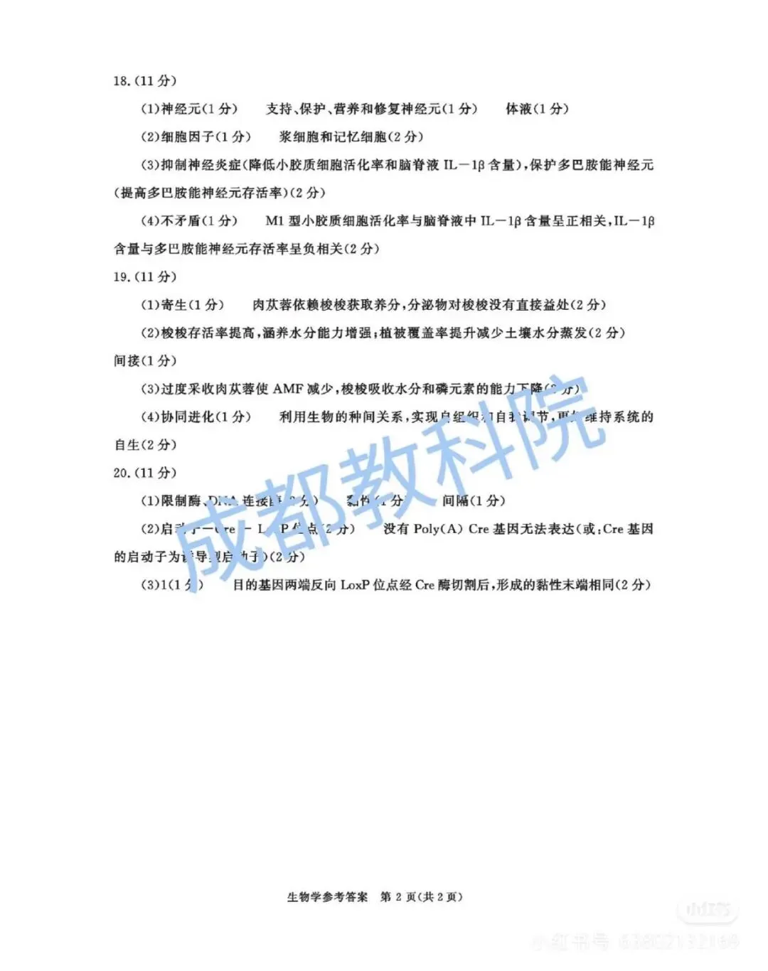 2026年成都高三二诊全科试卷及答案公布! 第47张