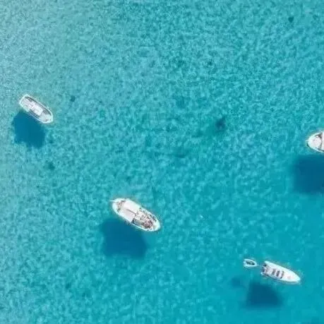 2026年3月杭二中月考生物试卷和答案 第11张