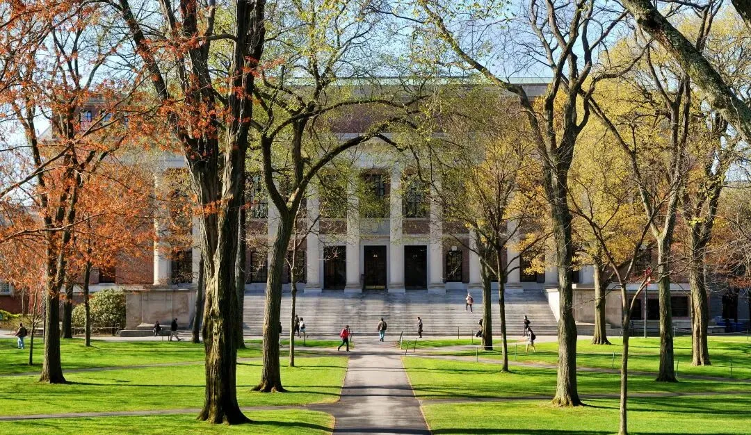 期中考后,留学生最容易忽视的“隐形危机”! 第8张