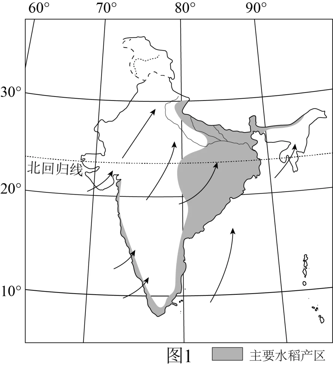 2026年地理中考热点(28)——世界粮食日 第11张
